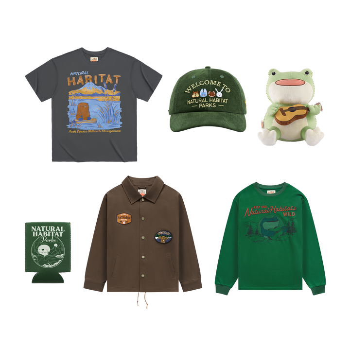 Summer Collection Bundle